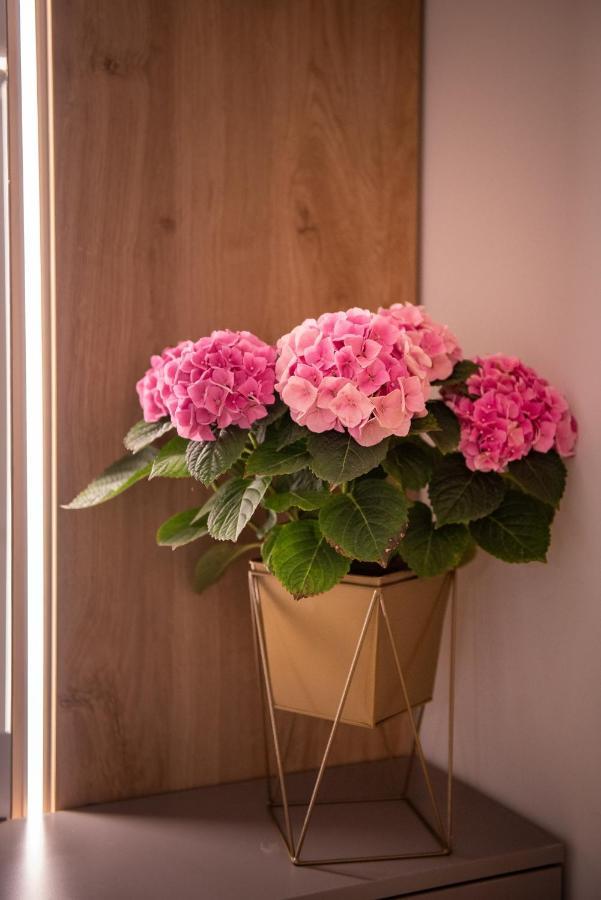 Anastasia Seaside Mangalia Ngoại thất bức ảnh